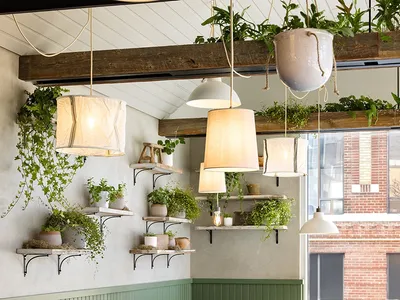 A modern restaurant interior with green wooden tables and chairs, white pendant lights, and hanging plants.