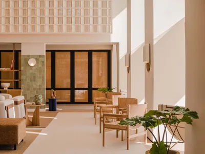 A minimalist living room featuring wooden furniture and plants.