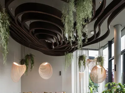 Contemporary restaurant interior featuring a wooden ceiling with circular design elements, hanging plants, and a mix of seati