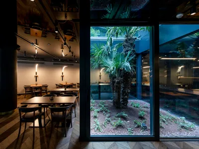 A modern restaurant interior featuring wooden furniture, glass walls, and a central potted plant.