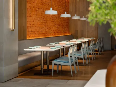 A modern restaurant interior featuring industrial design elements such as concrete walls, wooden shelves, and porcelain plate