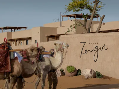 Camel at the entrance of a hotel with sandstone walls and architectural design.