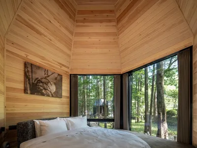 A minimalist bedroom featuring wood-paneled walls and a large window overlooking a forest.