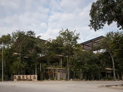 Amelia 精品店的混凝土店面，搭配綠植與招牌
