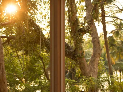 A cozy cafe featuring a wooden chair and tables with a serene outdoor view.