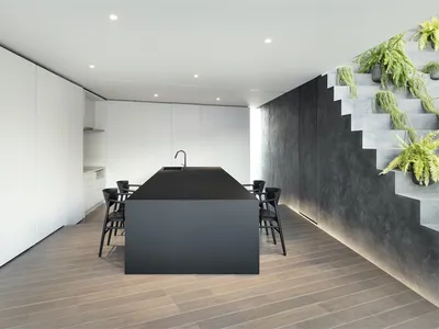 Modern minimalist kitchen with black quartzite countertop and wood flooring.