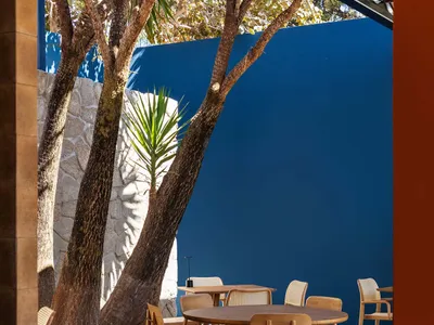A dining area with a large wooden table and multiple chairs, surrounded by a blue wall in a neutral setting