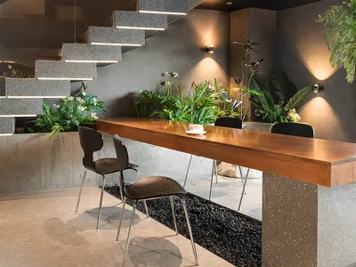 A minimalist living space with a concrete staircase, two chairs, and potted plants, giving a modern and functional feel
