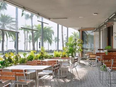 A restaurant dining area with modern and traditional elements, featuring multiple tables, chairs, potted plants, and palm trees in the background, creating a comfortable and inviting atmosphere
