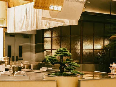 溫暖親切的餐廳廚房，配有木質檯面、盆栽盆景及散置碗盤