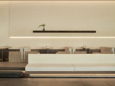 An empty restaurant interior with white walls, tables, chairs, and a potted plant in the center, creating a clean and inviting atmosphere