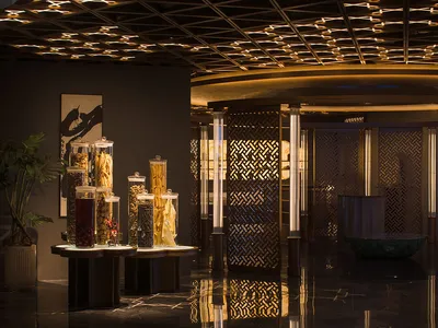 A well-lit interior design showroom with decorative vases and potted plants on tables and the floor, showcasing various styles and designs