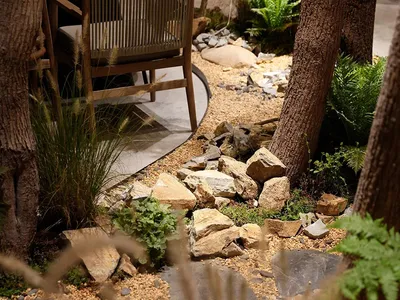 Cozy indoor space with a rock garden, multiple chairs, and potted plants, creating a relaxing atmosphere