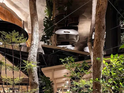 舒適的餐廳座位區，配有椅子、餐桌與盆栽植物，營造溫暖親切的氛圍