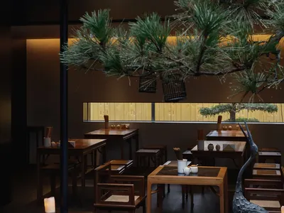 A modern dining area with multiple tables and chairs, surrounded by potted plants, creating a cozy atmosphere for guests