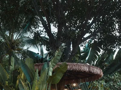 A serene outdoor patio area with a red brick wall, staircase, and small hut-like structure surrounded by palm trees and potted plants