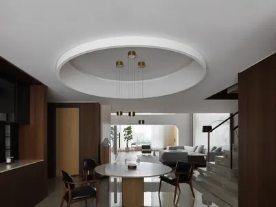 Cozy open living area with a dining table, two couches, a potted plant, and a vase on the table, surrounded by modern interior design elements