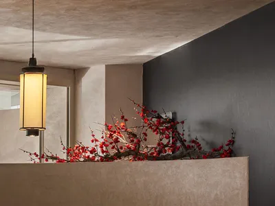 A cozy restaurant dining area with black walls, tables, chairs, a potted plant, and a vase on one of the tables