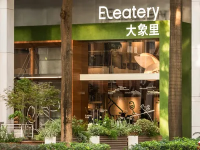 A well-designed Asian restaurant with a green facade, natural light, and potted plants, featuring a dining area with chairs and tables