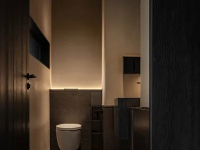 Small bathroom with a white toilet and two sinks, surrounded by dimly lit wooden paneling
