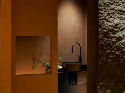 Bathroom with a sink, faucet, and bowl on the countertop, surrounded by two potted plants and warm orange walls