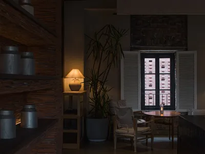 A well-lit living space with a dining table, chairs, potted plants, and vases on a wooden floor