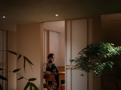 A serene living space with a woman sitting in a chair, surrounded by a potted plant and two chairs, with a calm atmosphere