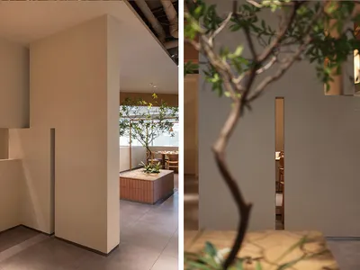 餐廳內部設有多個用餐區、座椅與一棵大樹，營造舒適親切的氛圍