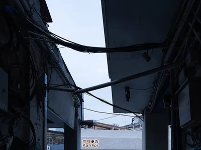 白色建築、門廊與窗戶的休閒家用辦公空間，一人與愛犬穿梭其間