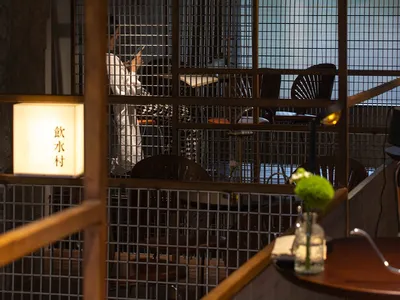 Modern restaurant interior with a dining area, bar, and potted plants, featuring a warm and inviting atmosphere