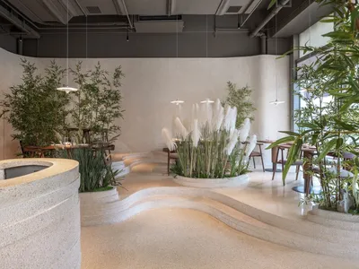 A restaurant interior with a large white wall, dining table, chairs, and potted plants, creating a comfortable atmosphere
