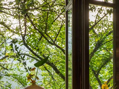A bright and inviting living space with a large window, vases, and a potted plant, flooded with natural light