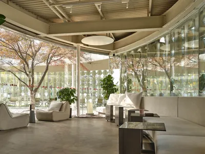 Comfortable living space with a white couch, two chairs, potted plants, and a glass wall
