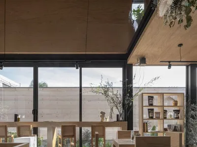 Cozy living area with wooden floors and walls, featuring chairs, a dining table, a potted plant, and books, creating a warm and inviting atmosphere