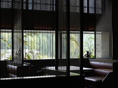 Modern restaurant dining area with black walls, potted plants, and minimalist decor