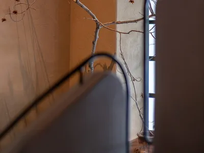 A cozy study space with a staircase, two trees, and scattered books, set against a warm and inviting background