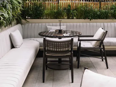 A modern living area with a dining table, couches, chairs, and a potted plant, creating a cozy atmosphere for gatherings and meals