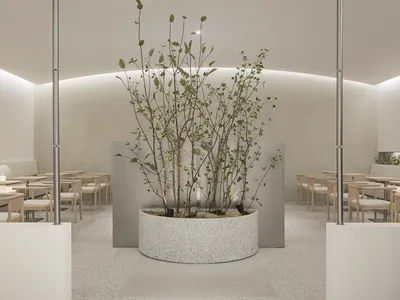 餐廳內部擁有大型中央植物、多張椅子與餐桌，營造溫暖親切的氛圍