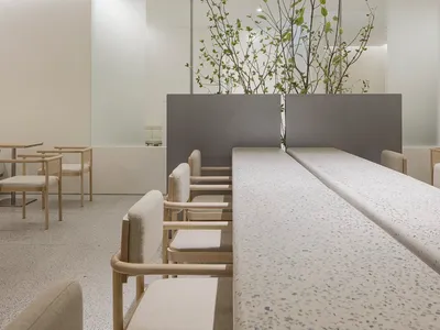 A modern restaurant dining area with multiple tables and chairs, adorned with potted plants and a clean, minimalistic ambiance