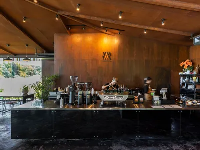 輕鬆休閒餐廳內部，設有吧台、瓶子、杯子、碗盤，背景有盆栽植物
