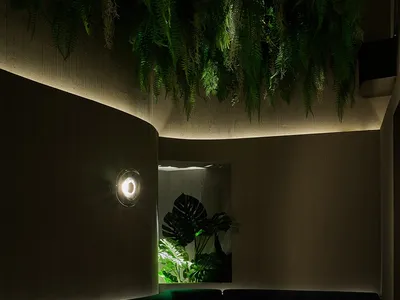 Cozy living space with two couches, a glass table, and potted plants