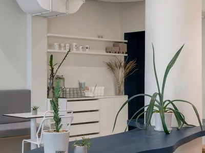 A warm and inviting living area with a wooden countertop, potted plants, and scattered cups, creating a comfortable and functional space