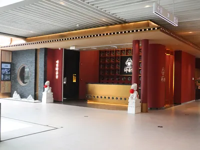 Inviting hotel lobby with a bar, chairs, and potted plants creating a warm and comfortable atmosphere