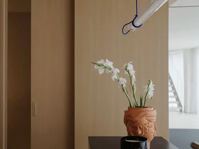 A warm and inviting living space with a vase, potted plants, and a bowl, featuring a clay vase and natural elements