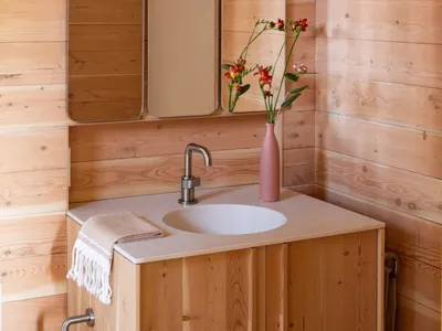 Bathroom with a white sink, mirror, and potted plant, set against a warm wooden background with two lights above the mirror