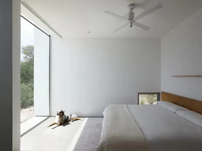 A well-lit bedroom with a white bed, two dogs, and a calm atmosphere