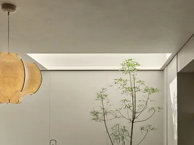 A well-lit living area with a dining table, chairs, a potted plant, and a vase, creating a comfortable atmosphere for socializing and enjoying meals