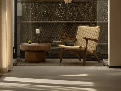 Cozy living space with a wooden chair, rug, dining table, and potted plant, creating a warm and inviting atmosphere