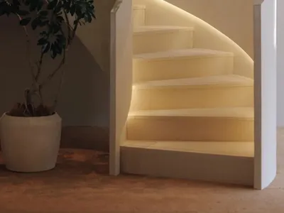A staircase with a white railing and a potted plant, set in a calm and inviting hallway with natural light from a window
