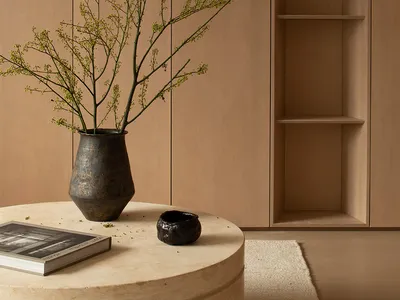 A warm and cozy living space with a wooden floor, a brown vase, and a plant, set against a bookshelf background